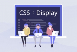 Display CSS và cách sử dụng hiệu quả trong layout web hiện đại