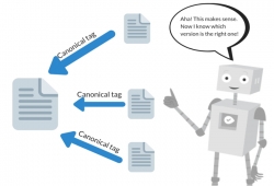 Canonical là gì? Hướng dẫn sử dụng thẻ canonical hiệu quả