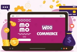 Phương án tích hợp thanh toán MoMo vào website bán hàng