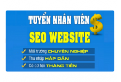 Nhân viên SEO / Marketing Online