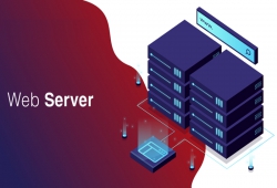 Web server là gì? Các loại web server thông dụng nhất hiện nay