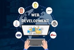 Website development là gì? Tổng quan về web development