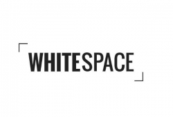 White space là gì? Tất tần tật về khoảng trắng trong thiết kế web