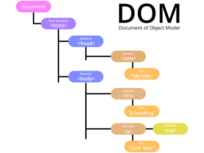 DOM là gì? Cấu trúc và vai trò của Document Object Model